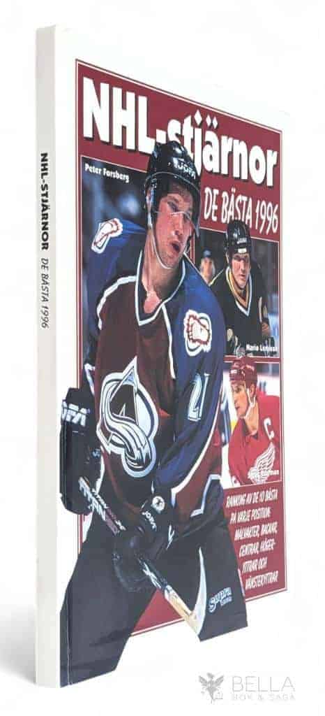 Stein Botilsrud : NHL-stjärnor - De bästa 1996