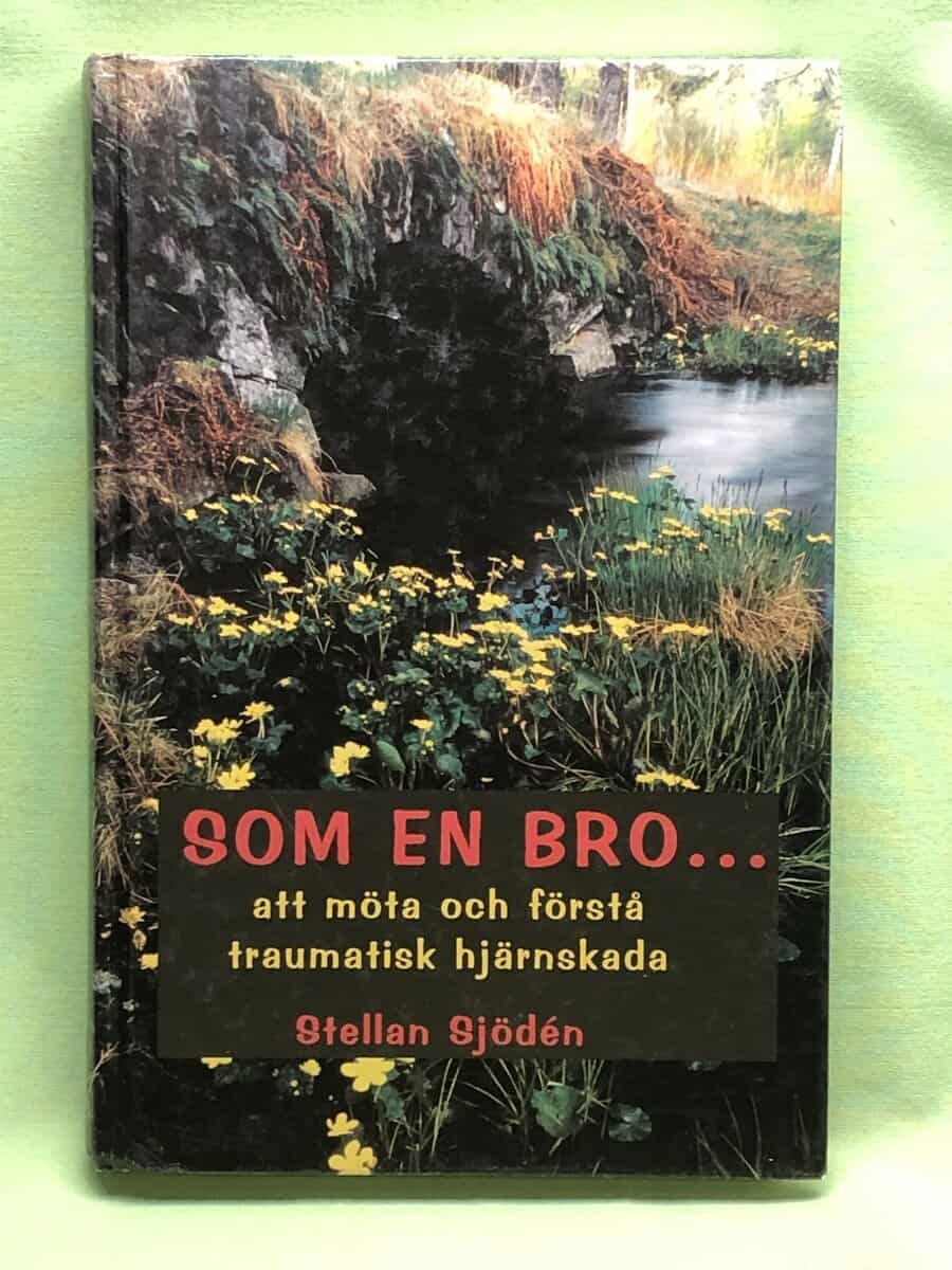 Stellan Sjödén : Som en bro...att möta och förstå traumatisk hjärnskada