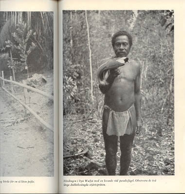 Sten Bergman : Vildar och paradisfåglar