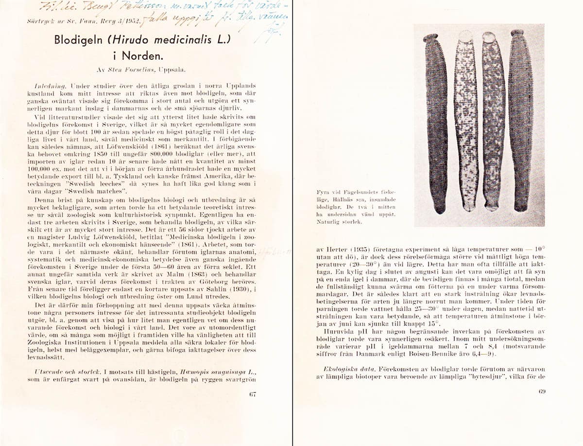Sten Forselius : Blodigeln (Hiruda medicinalis L.) i Norden (dedikation)
