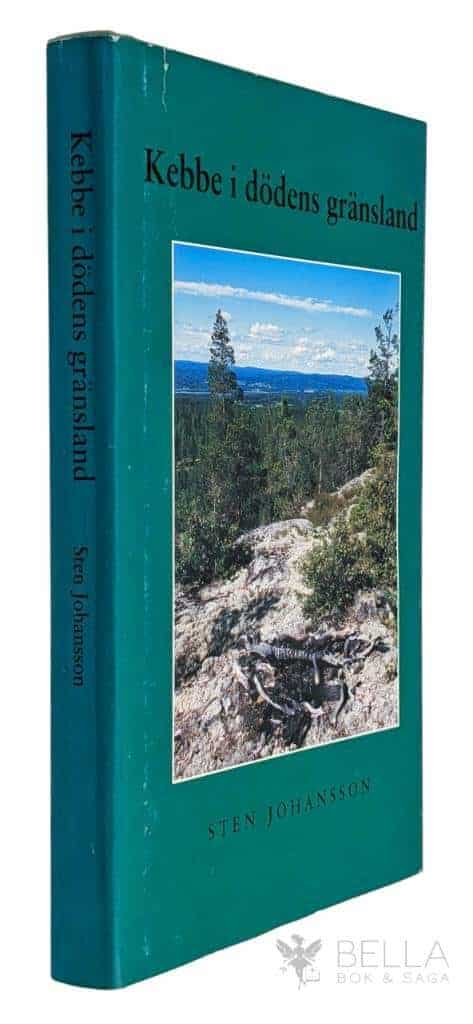 Sten Johansson : Kebbe i dödens gränsland