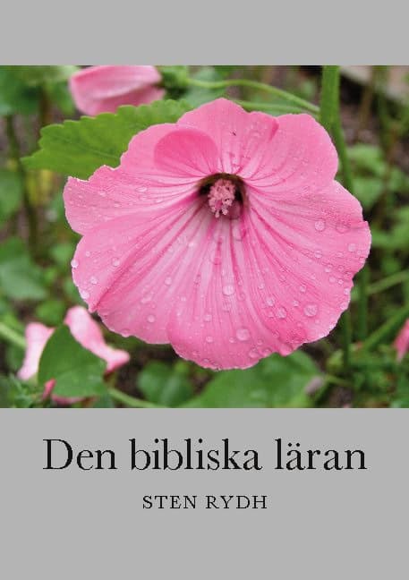 Sten Rydh : Den bibliska läran : en sammanfattning av den evangelisk-lutherska kyrkans tro och bekännelse