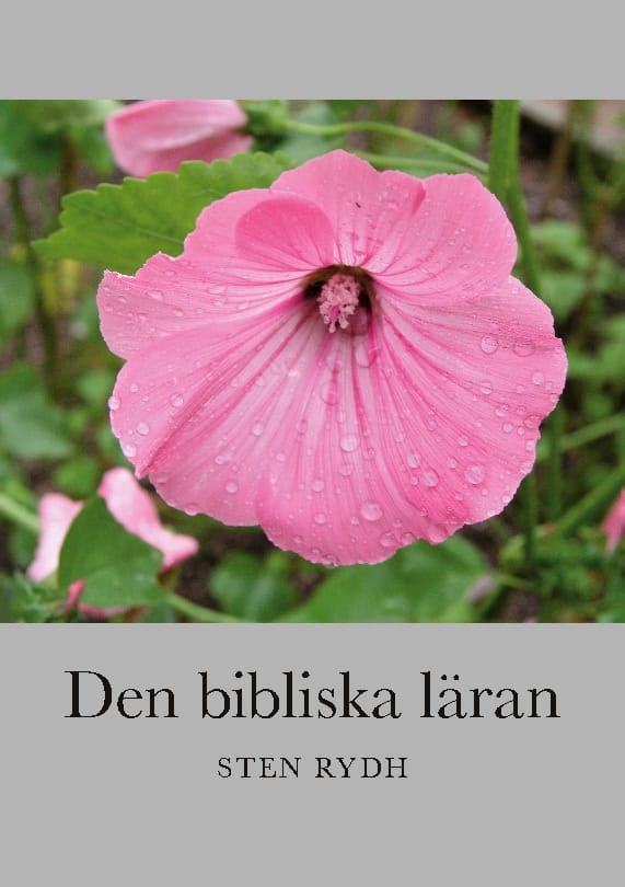 Sten Rydh : Den bibliska läran : en sammanfattning av den evangelisk-lutherska kyrkans tro och bekännelse