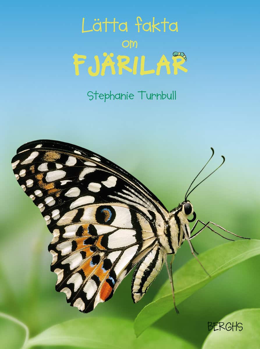 Stephanie Turnbull : Lätta fakta om fjärilar
