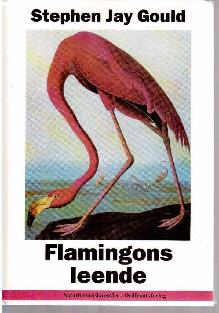 Stephen Jay Gould : Flamingons leende