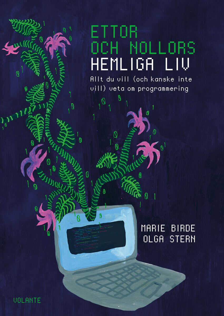 Stern, Olga ; Birde, Marie : Ettor och nollors hemliga liv : Allt du vill (och kanske inte vill) veta om