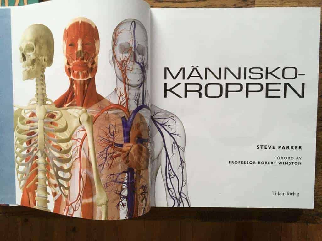 Steve Parker : Människokroppen