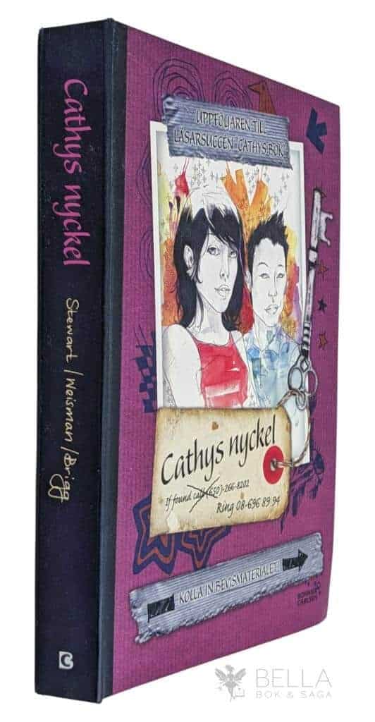 Stewart, Sean ; Weisman ; Brigg : Cathys nyckel