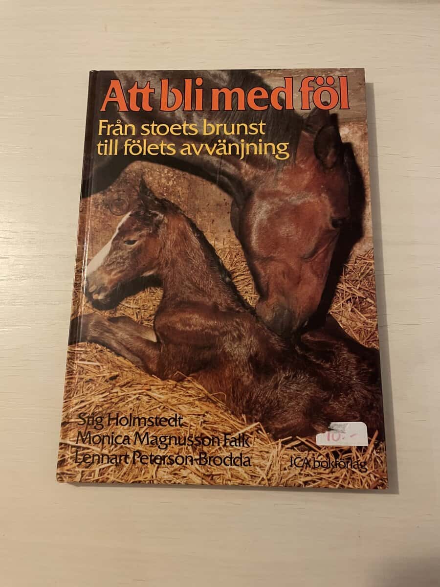 Stig Holmstedt : Att bli med föl