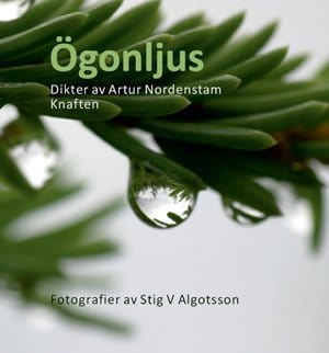 Stig V. Algotsson : Ögonljus