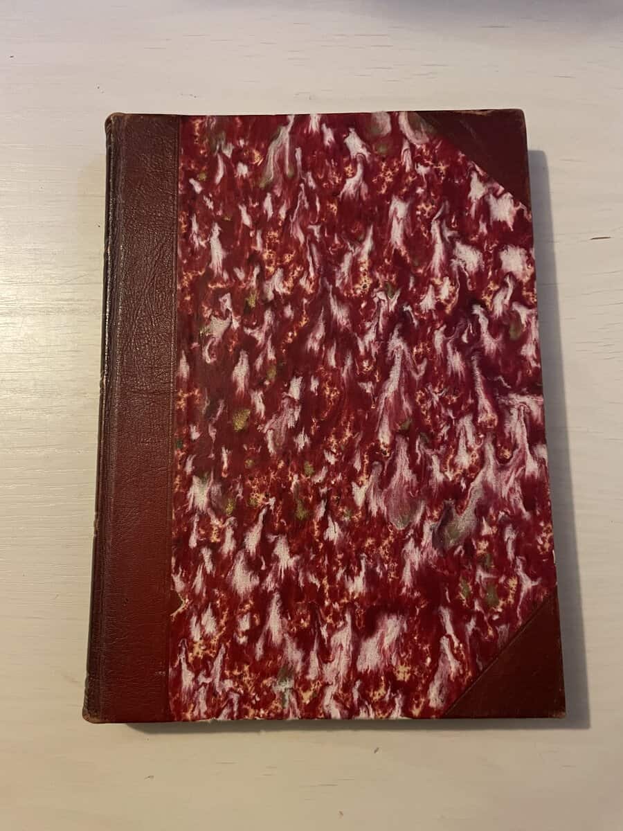 Stig Wesslén : På lapplandsfjällen bland björnar