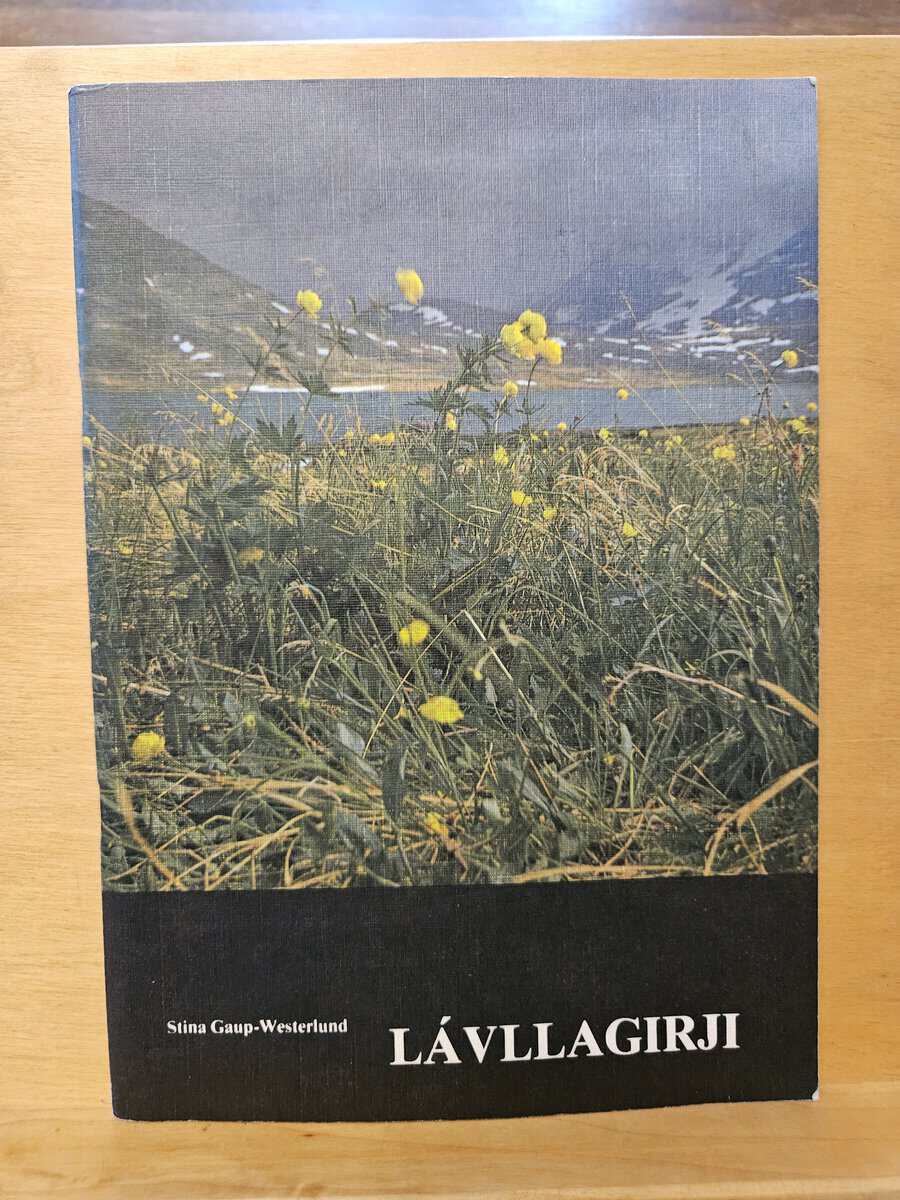 Stina Gaup-Westerlund : Lávllagirji