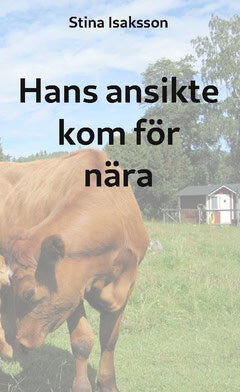 Stina Isaksson : Hans ansikte kom för nära
