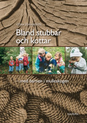Stina Johansson : Bland stubbar och kottar