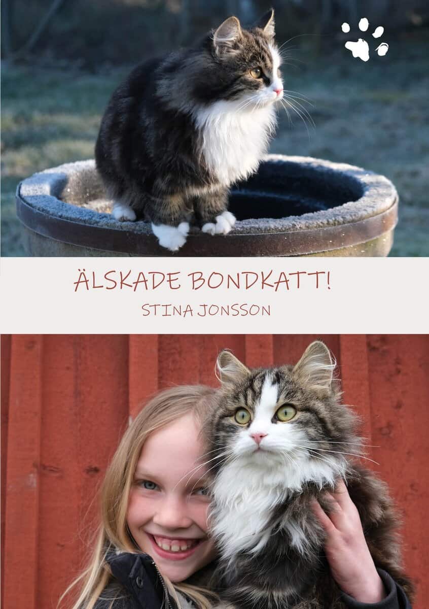 Stina Jonsson : Älskade bondkatt!