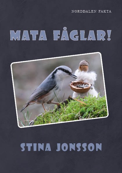 Stina Jonsson : Mata fåglar!
