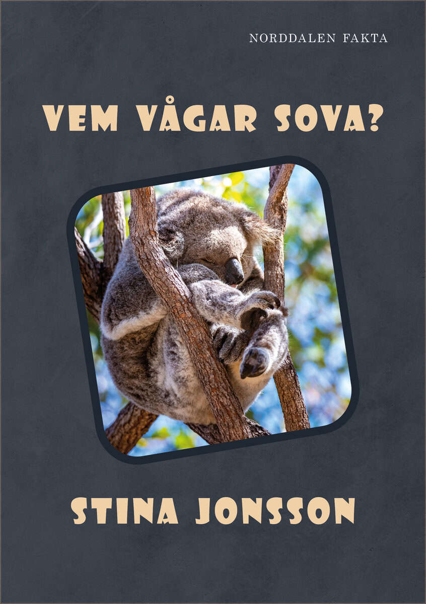 Stina Jonsson : Vem vågar sova?