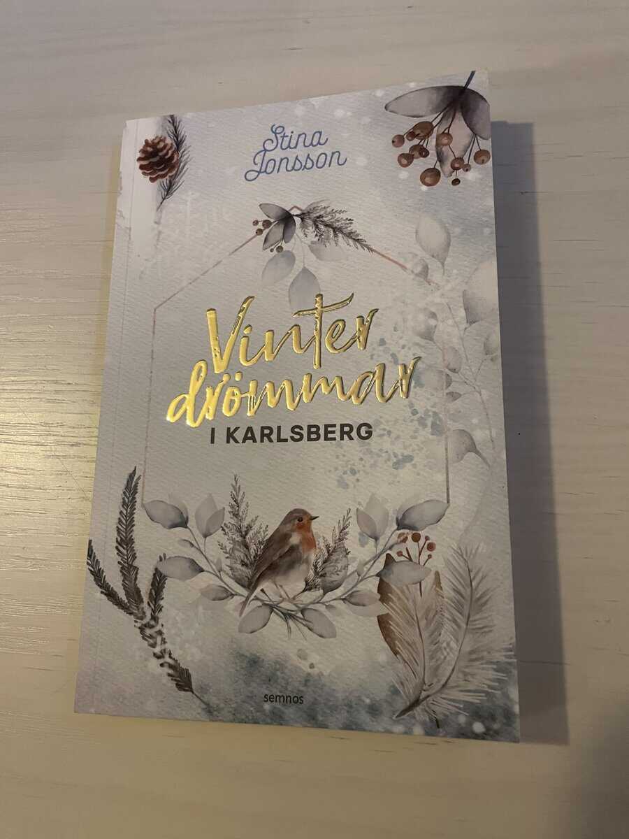 Stina Jonsson : Vinterdrömmar i Karlsberg