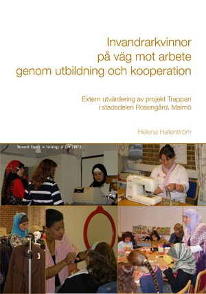 Stine Thorsted : Research Report in Sociology