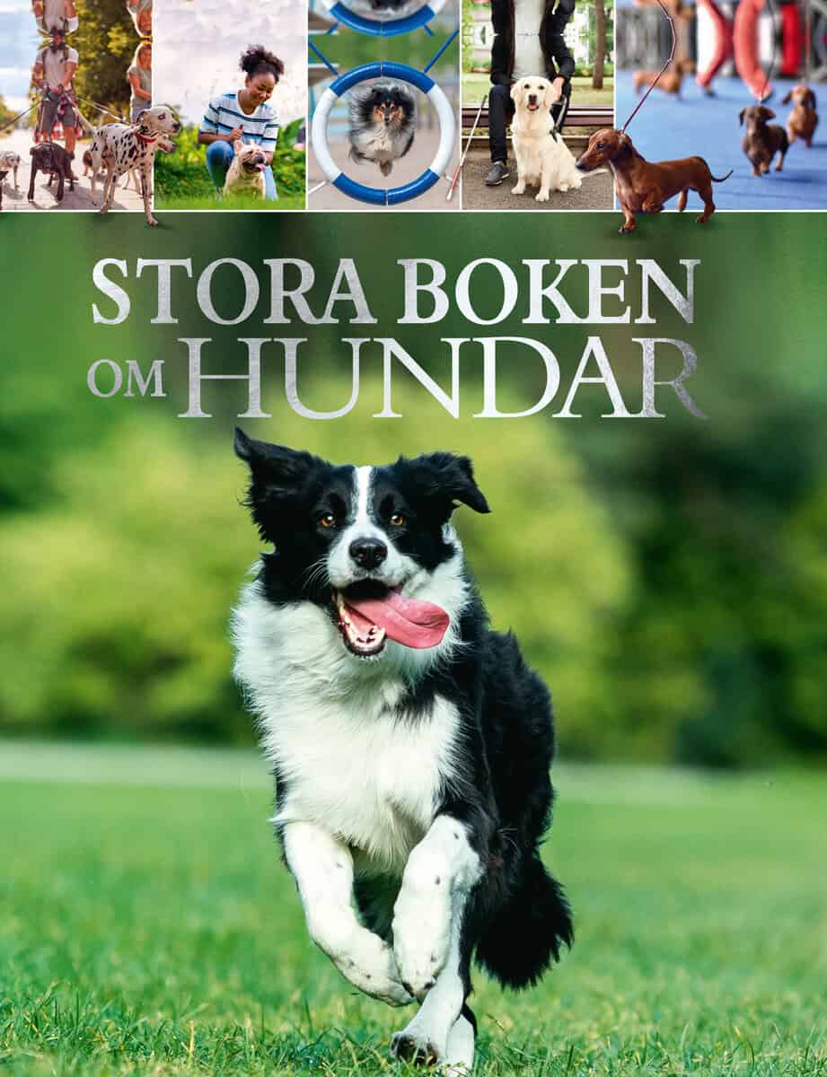 STORA BOKEN OM HUNDAR
