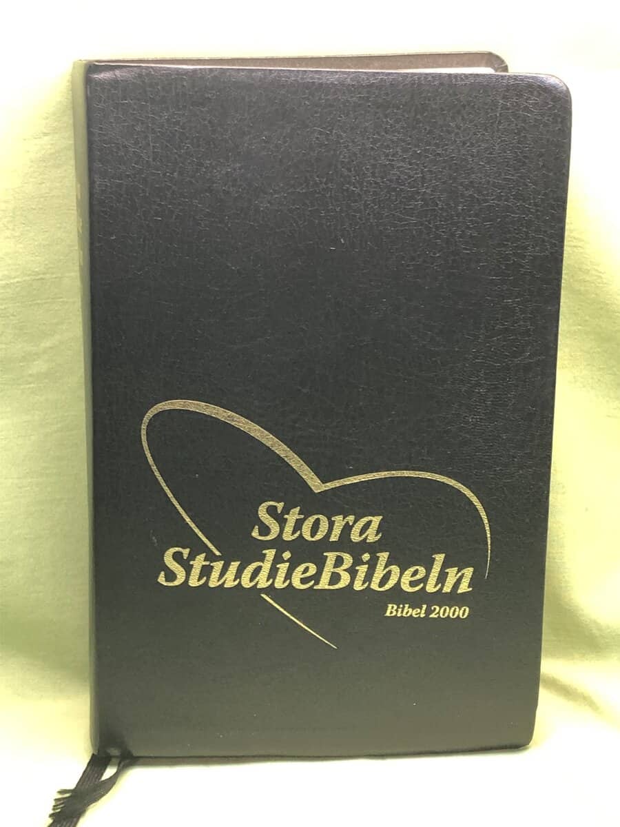 Stora studiebibeln