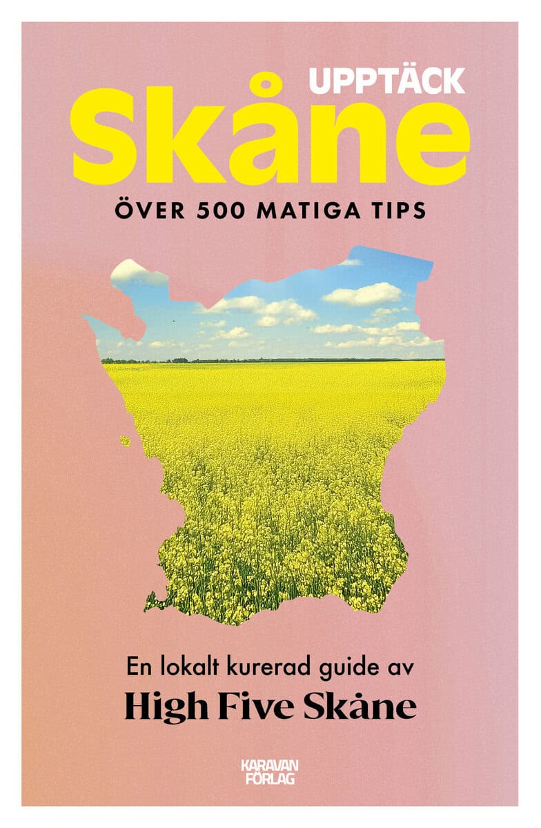 Strandberg, Sofie ; Allard, Johan : Upptäck Skåne