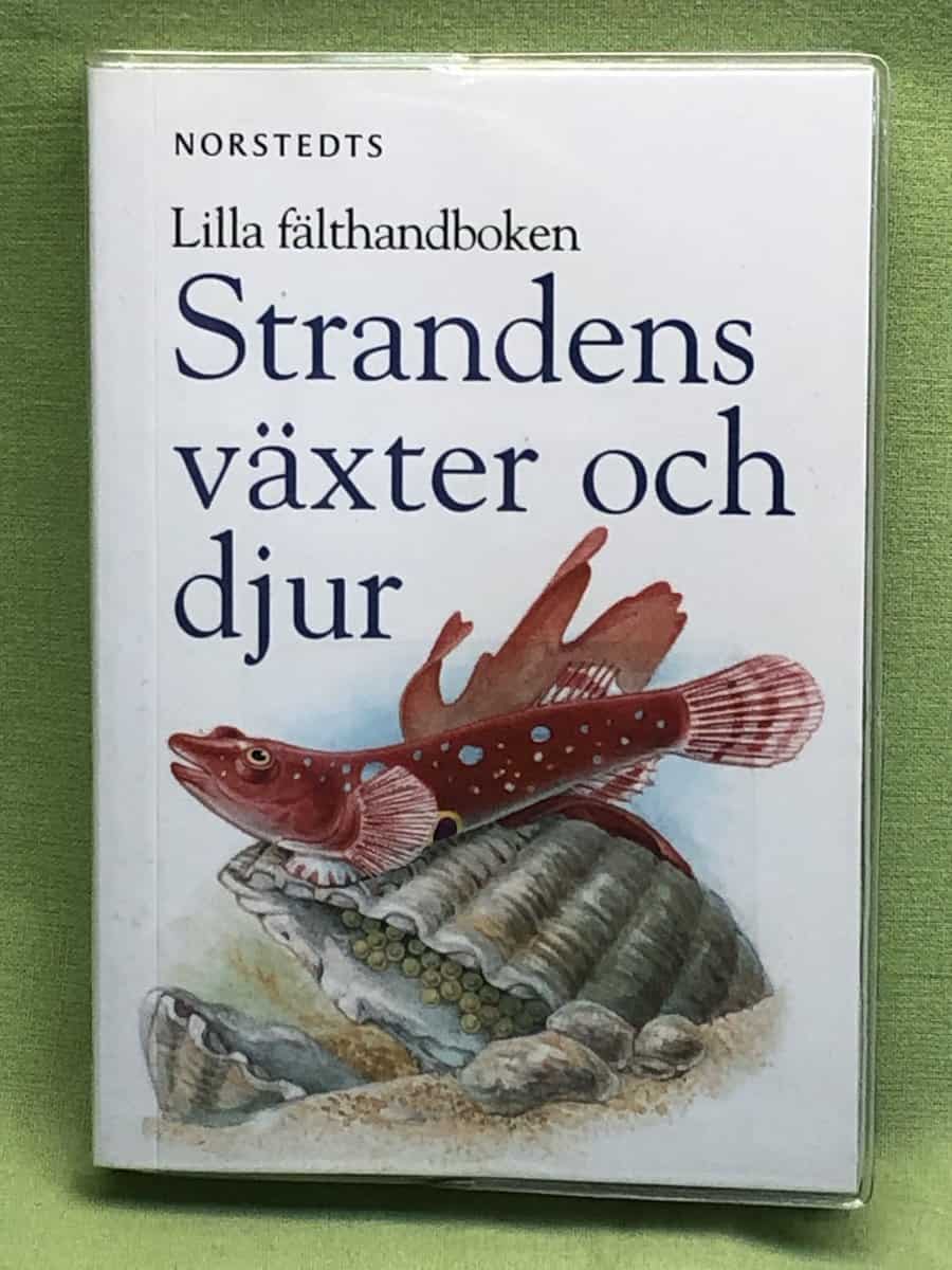 Strandens växter & djur