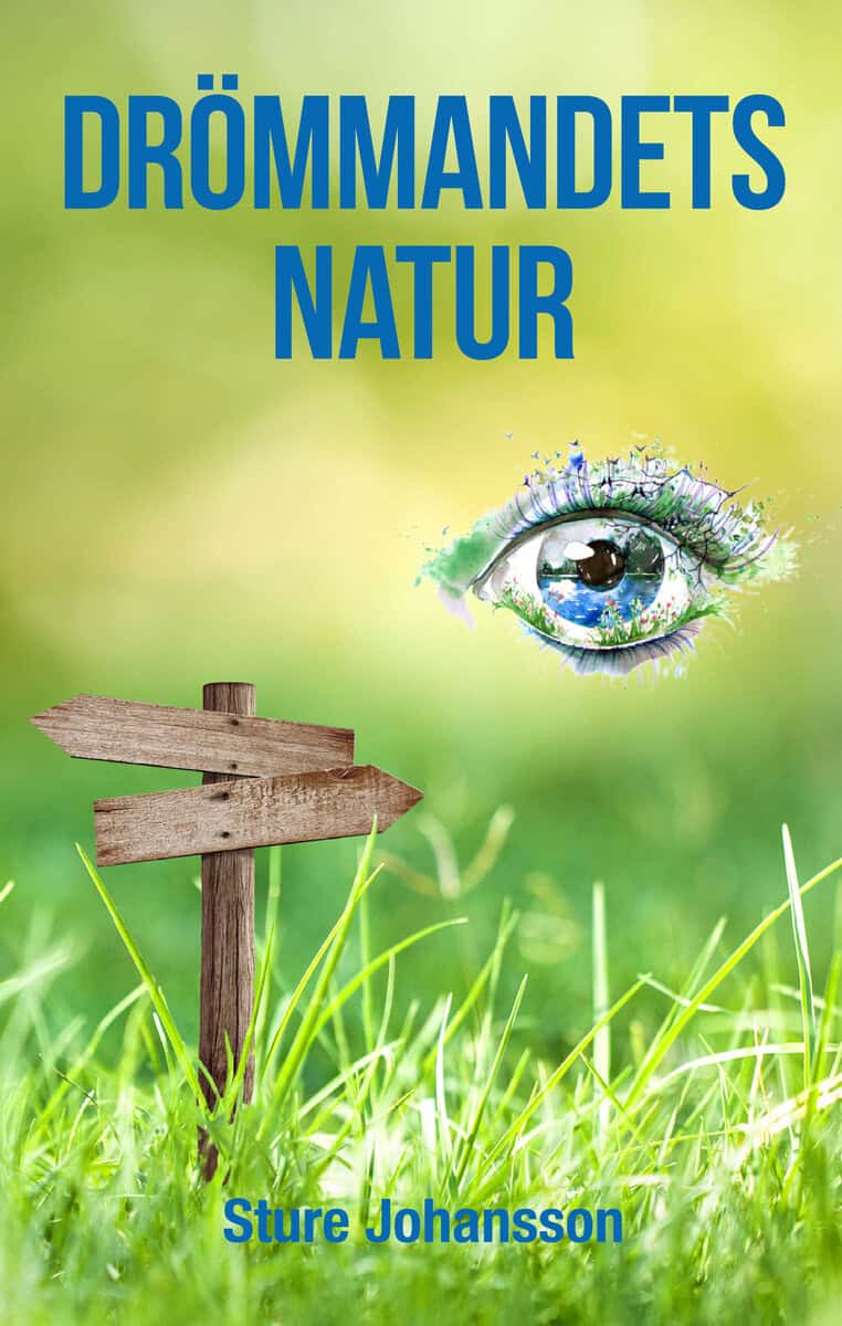 Sture Johansson : Drömmandets natur