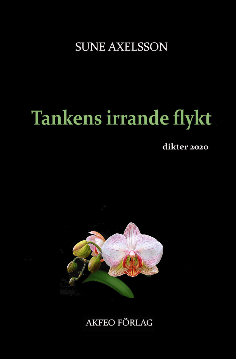 Sune Axelsson : Tankens irrande flykt