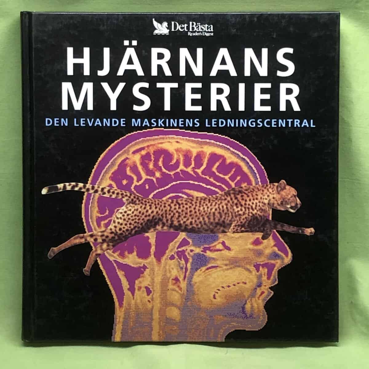 Susan Greenfield : Hjärnans mysterier