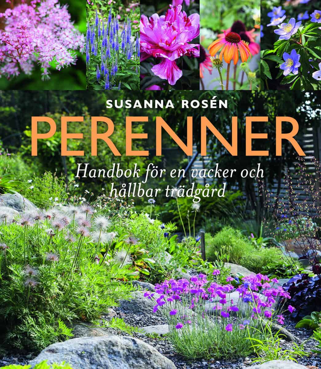 Susanna Rosén : Perenner : handbok för en vacker och hållbar trädgård