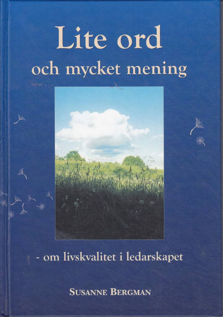 Susanne Bergman : Lite ord och mycket mening