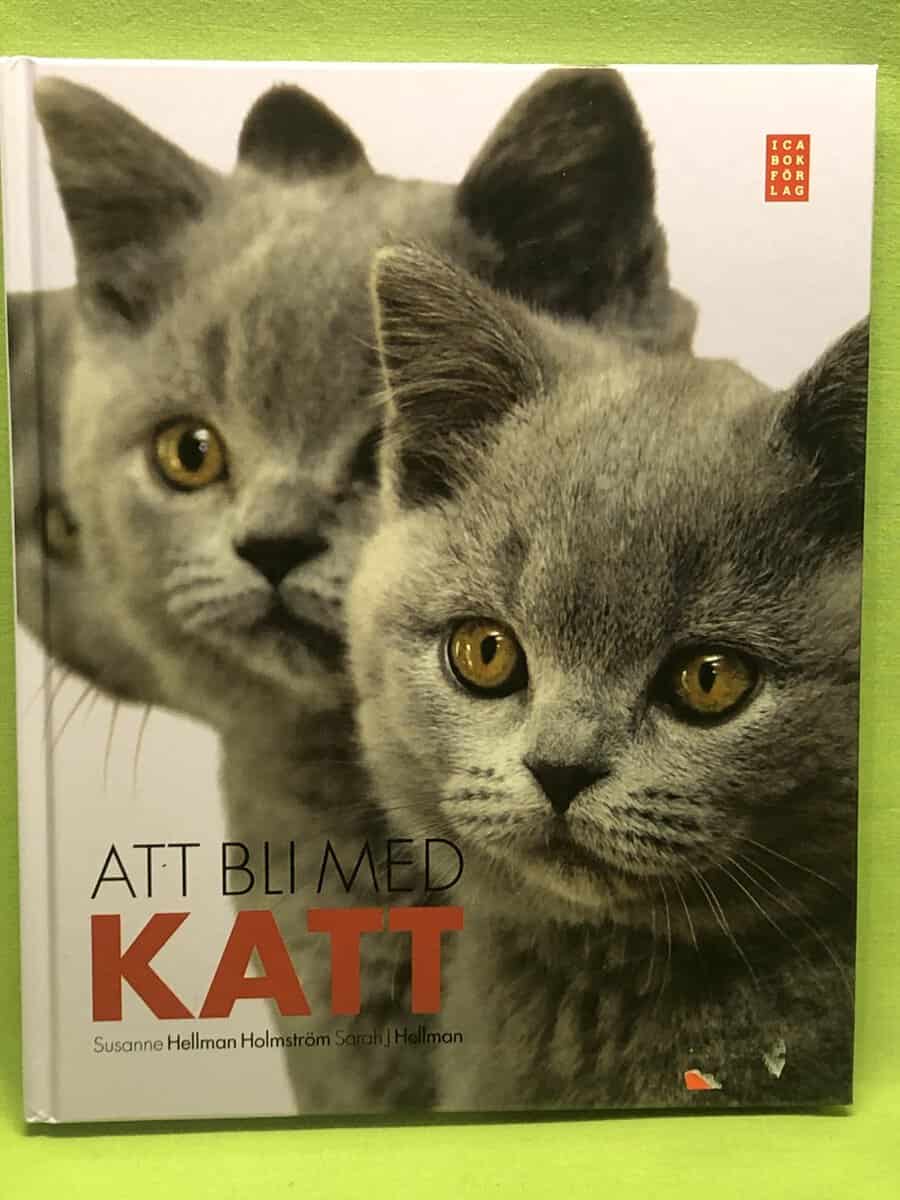Susanne Hellman Holmström : Att bli med katt