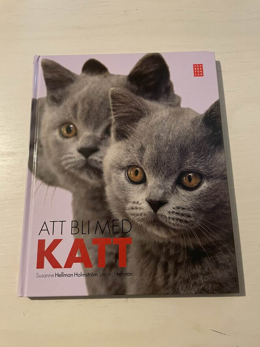 Susanne Hellman Holmström : Att bli med katt