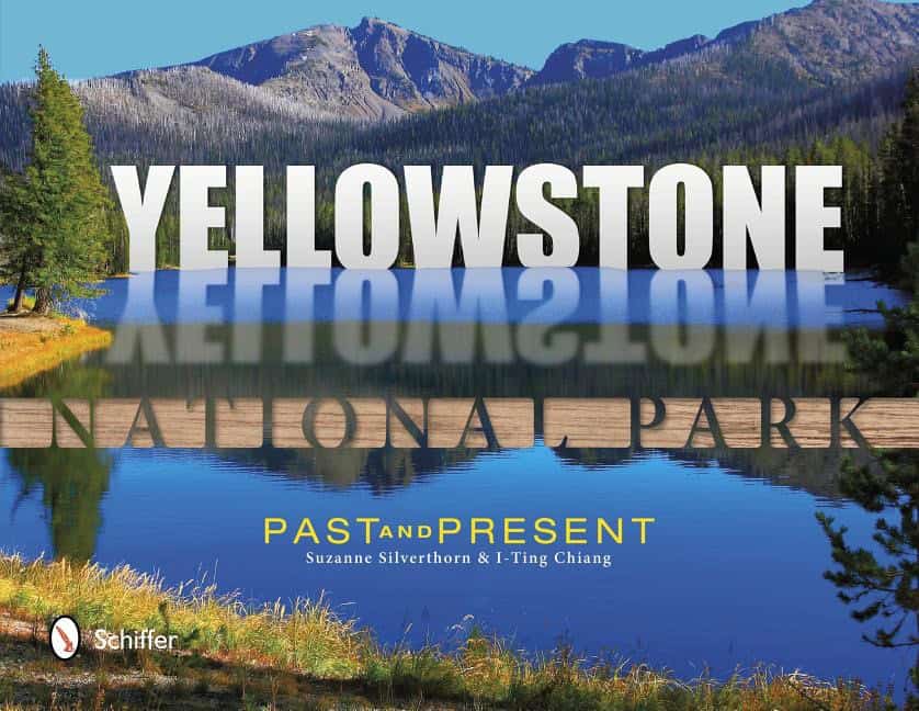 Suzanne Silverthorn : Yellowstone National Park