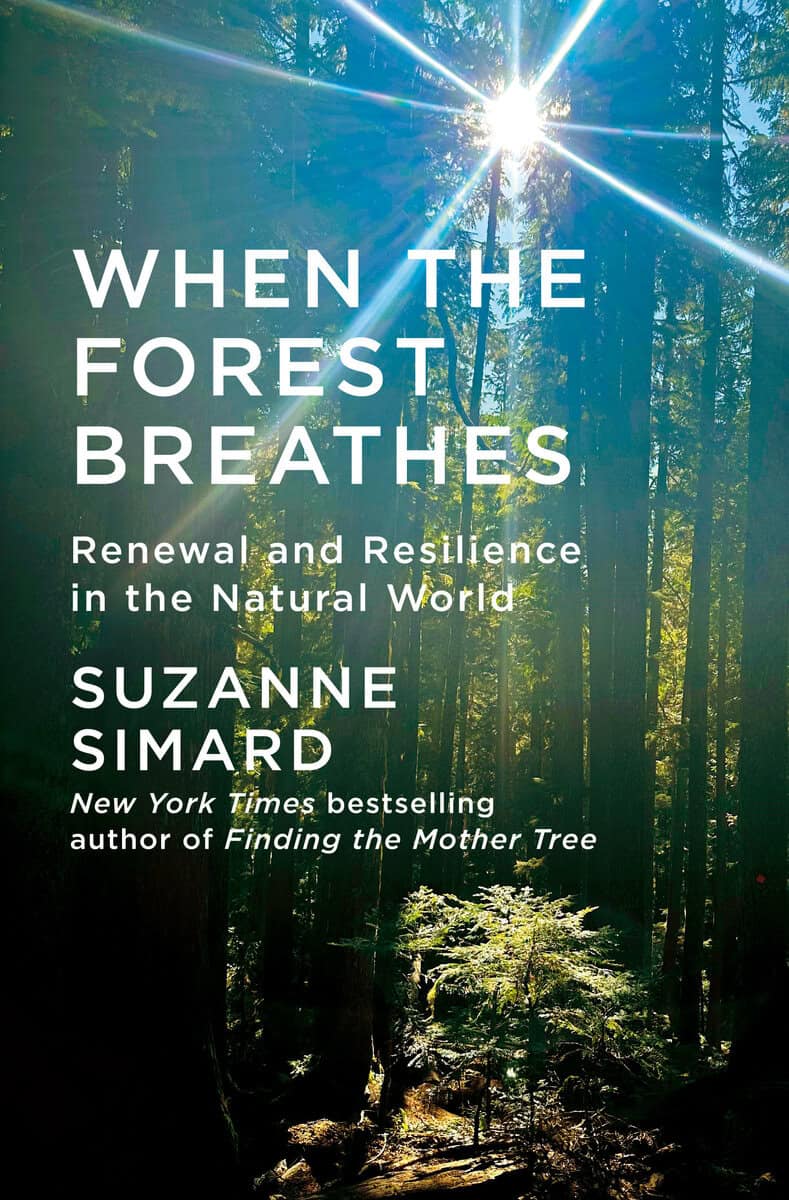 Suzanne Simard : When the Forest Breathes