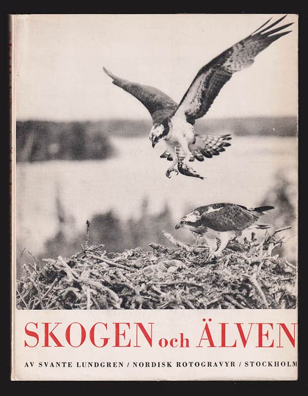 Svante Lundgren : Skogen och älven