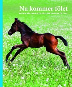 Ann Svärding : Nu kommer fölet