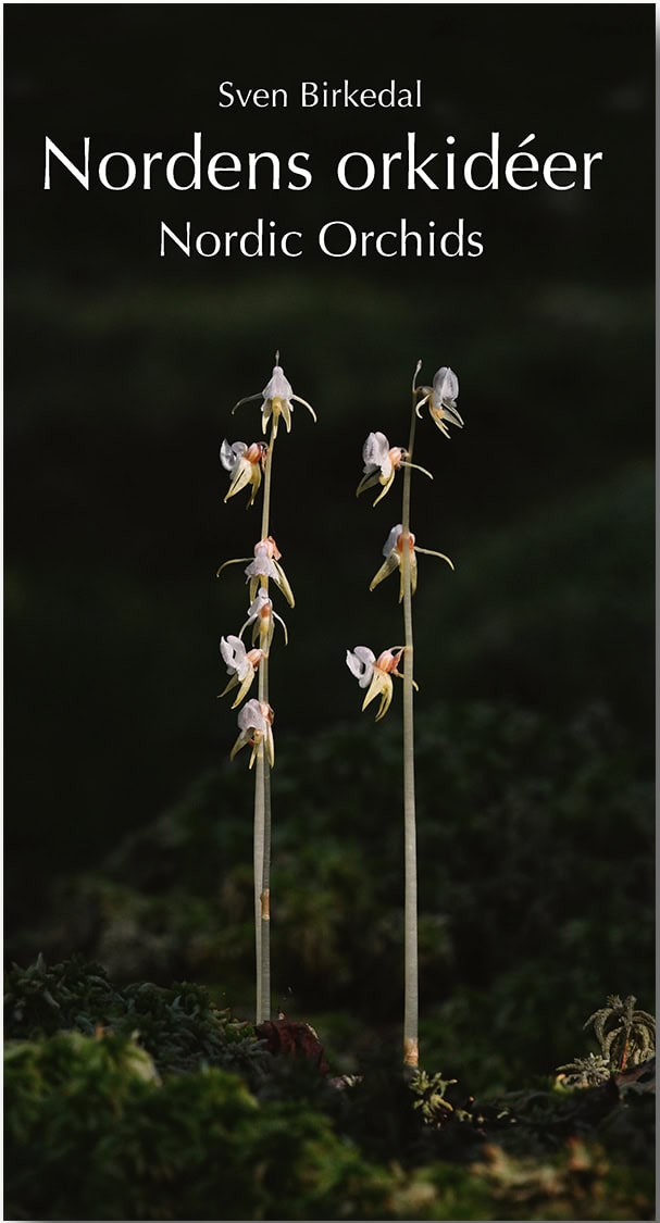 Sven Birkedal : Nordens orkidéer : en fältguide / Nordic Orchids : a field guide