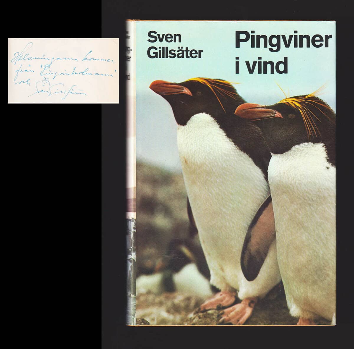 Sven Gillsäter : Pingviner i vind