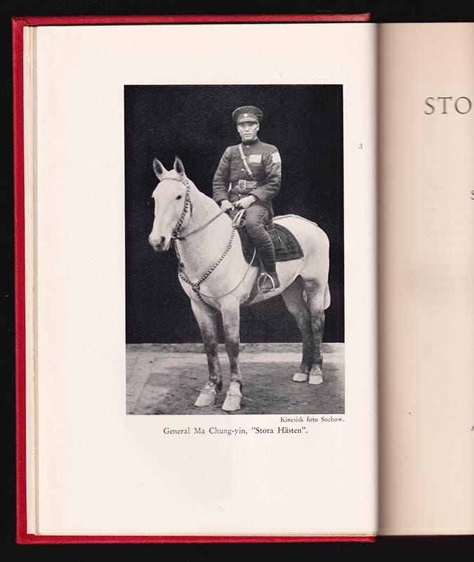 Sven Hedin : Stora hästens flykt