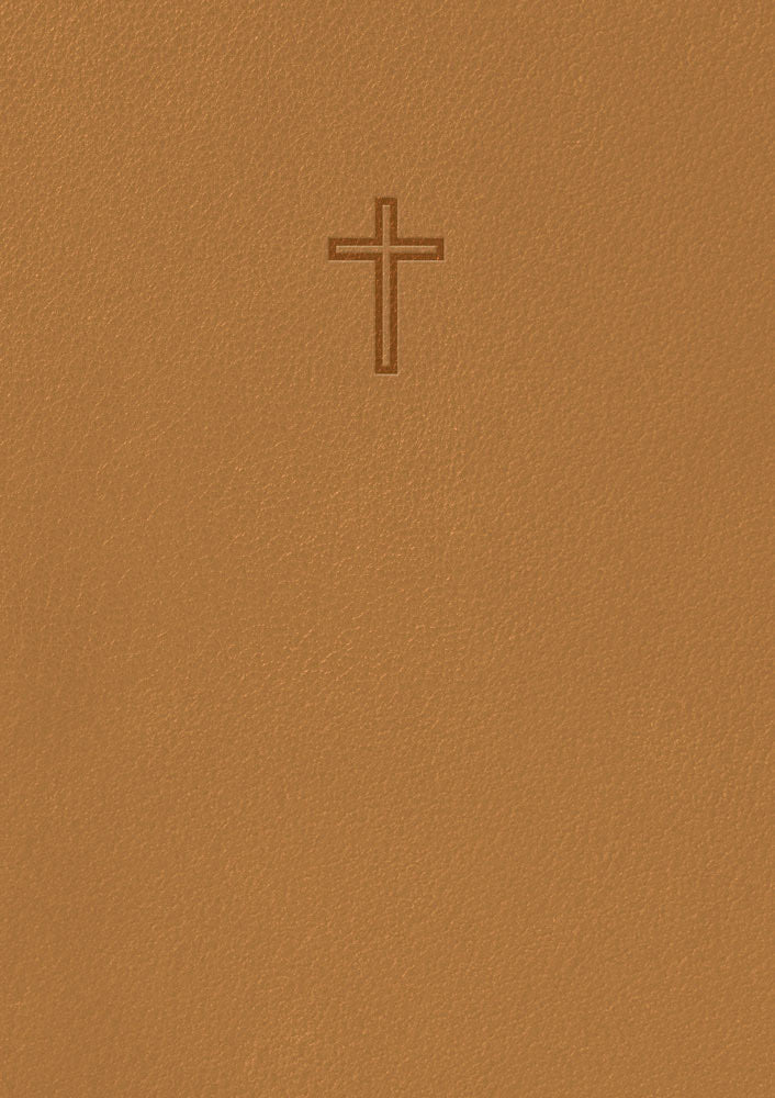 Svenska Folkbibeln 2015 (slimline, bärnsten konstskinn)