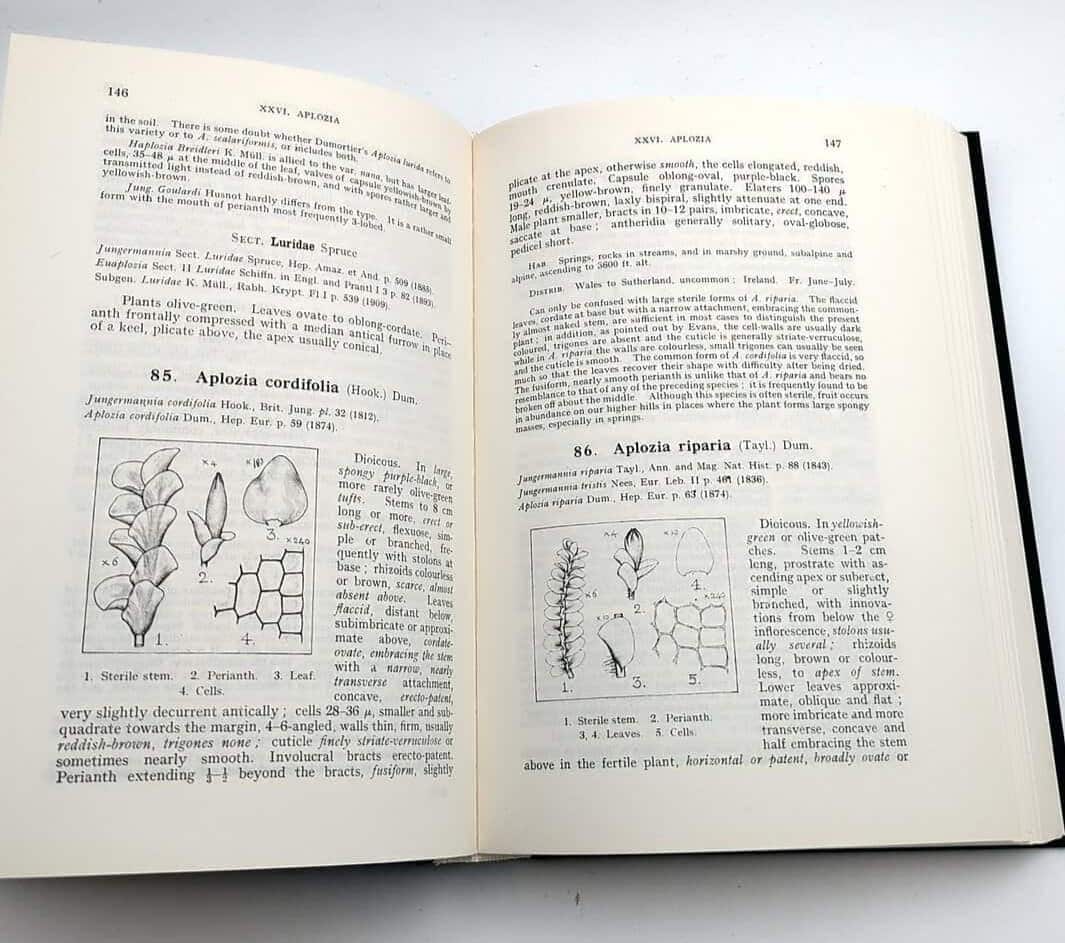 Symers M. Macvicar : The student's handbook of British hepatics
