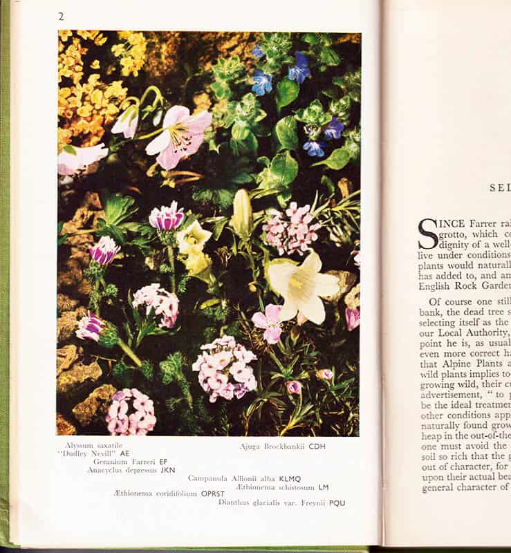 T. C. Mansfield : Alpines in Colour and Cultivation. With 80 plates in colour and 30 illustrations