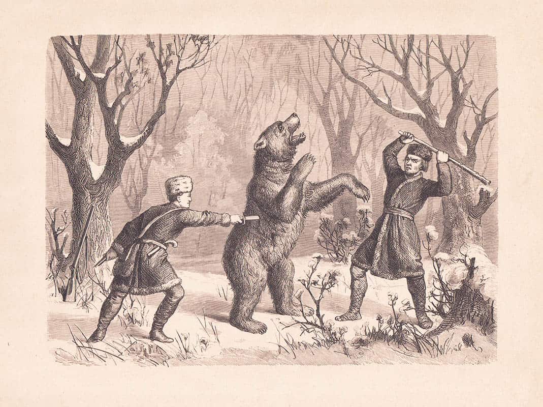 Taflor från skog och mark. Album för jägare och jagtvänner. 25 teckningar efter ryktbara djurmålare