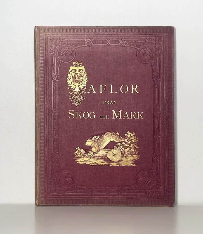 Taflor från skog och mark. Album för jägare och jagtvänner. 25 teckningar efter ryktbara djurmålare