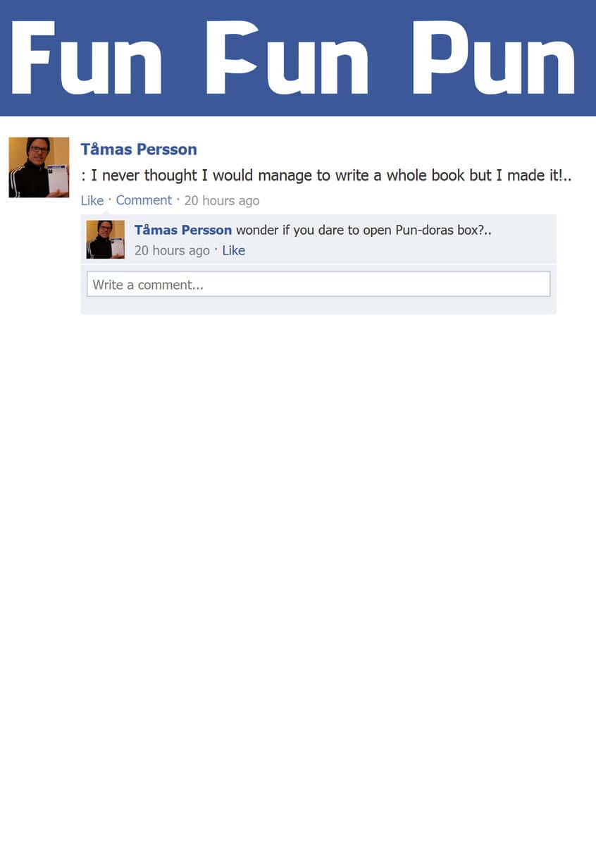 Tåmas Persson : Fun Fun Pun