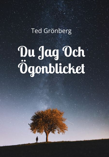 Ted Grönberg : Du, jag och ögonblicket
