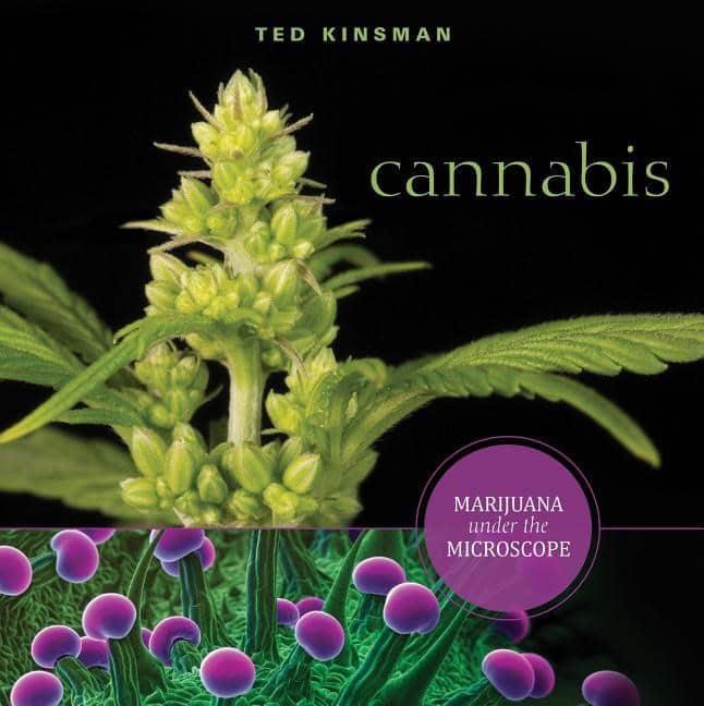 Ted Kinsman : Cannabis - marijuana under the microscope