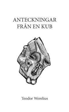 Teodor Werelius : Anteckningar från en kub